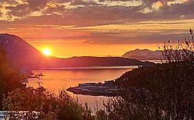 Harstad, All Seasons